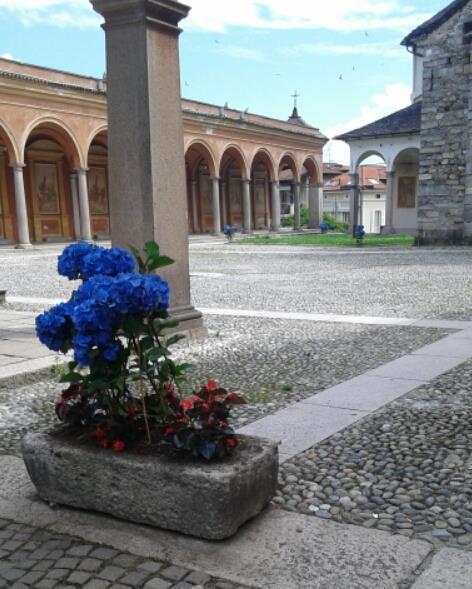 Hotel Elvezia Lake Maggiore Eksteriør billede